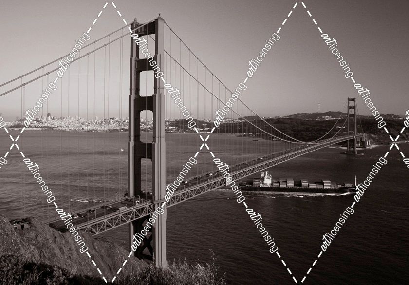 Golden Gate Toned