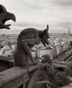 Gargoyles