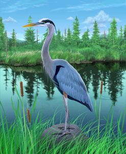 8 Marsh Heron