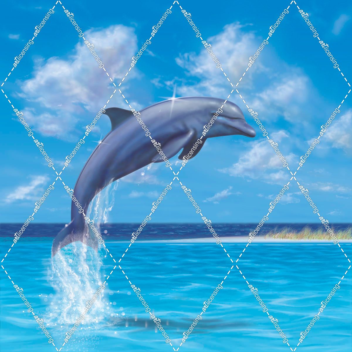 9 Blue Water Dolphin