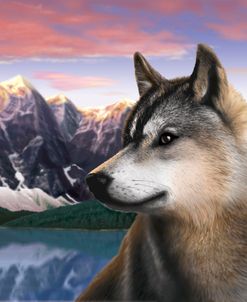 10 Rockies Wolf