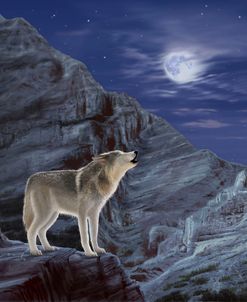 1 Wolf Moon