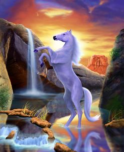 4 Desert Horse