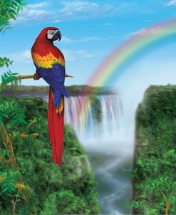 18 Macaw