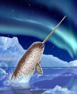 19 Narwhal and Northern Lights