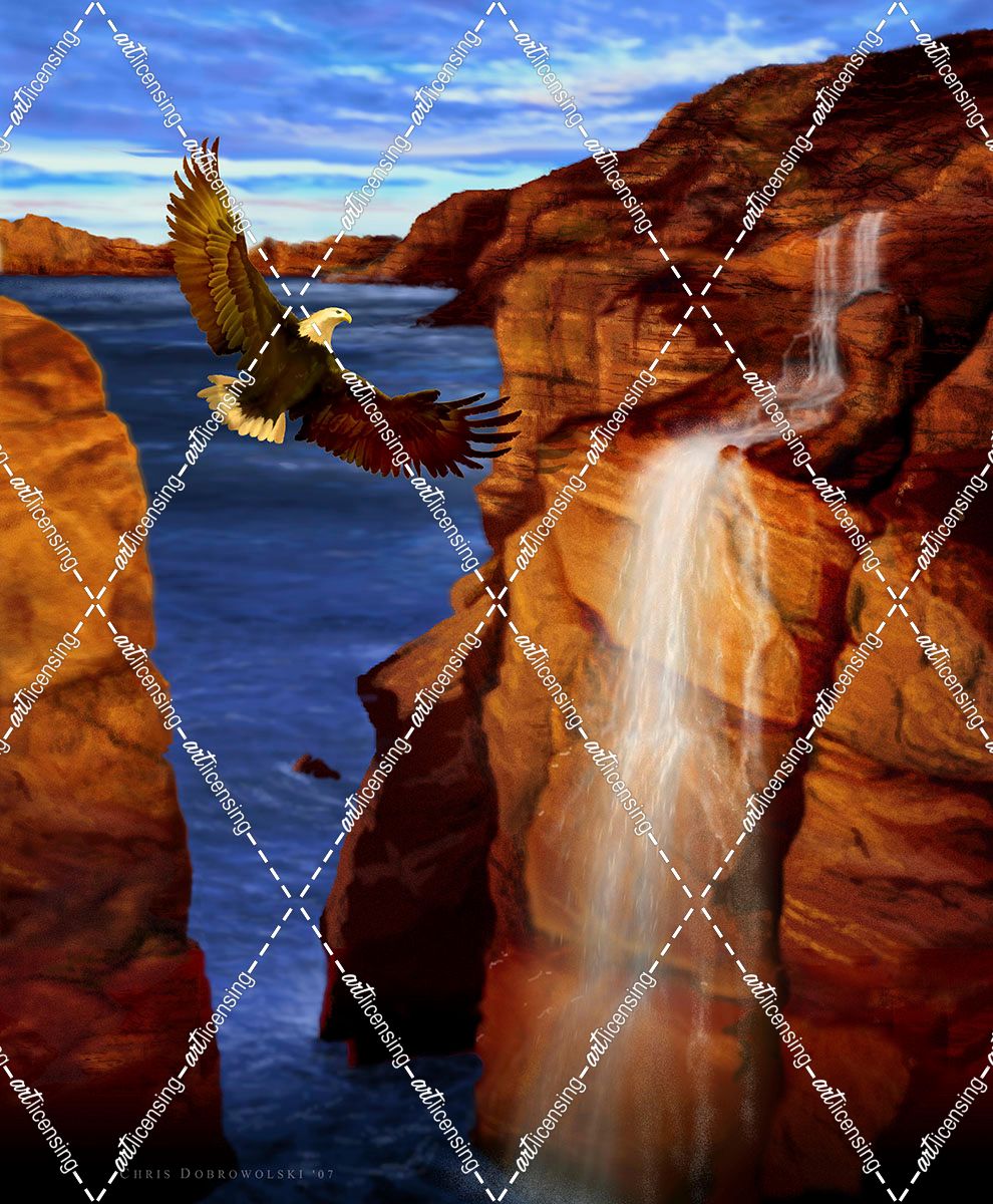 20 Canyon Eagle