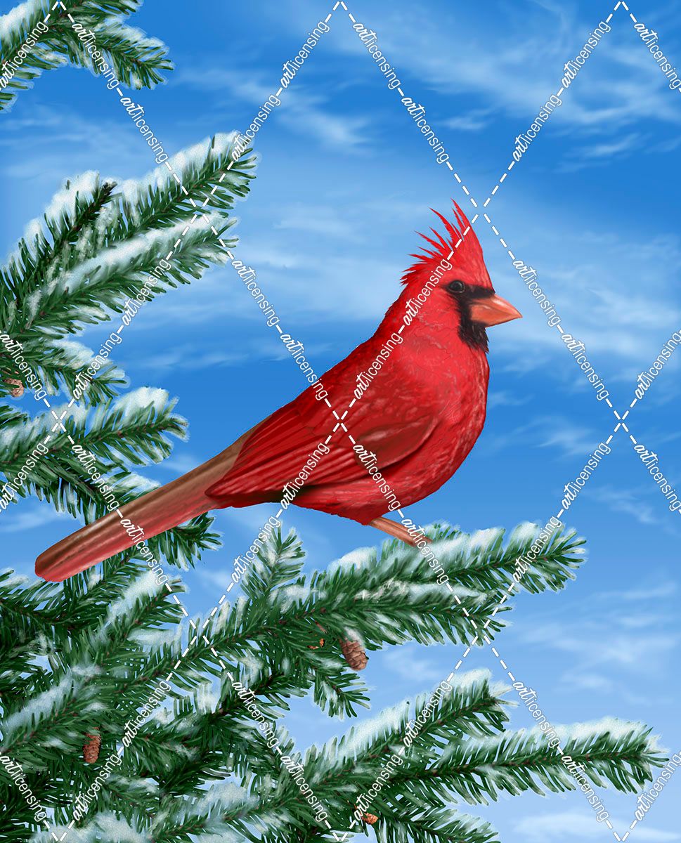 12 Winter Cardinal