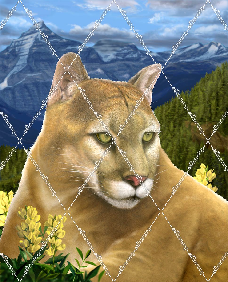 14 Rockies Mountain Lion