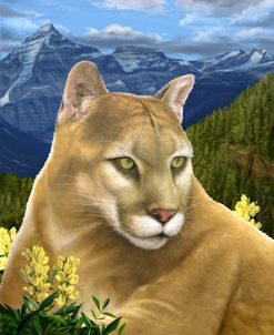 14 Rockies Mountain Lion