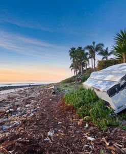 Beached