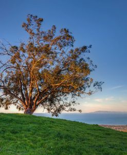 Island View