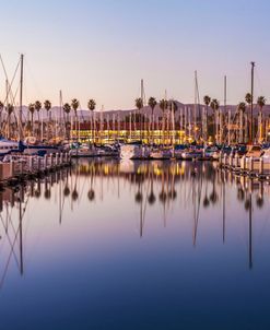 Marina Reflected