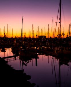 Marina Twilight