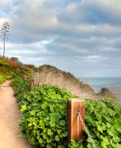 La Jolla Walk