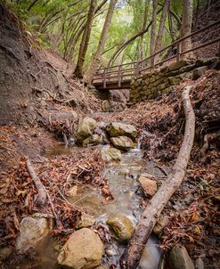 Lower Nojoqui Falls