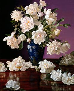 White Peonies in Blue Chinese Vase