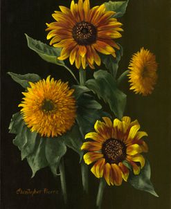 Four Sunflowers