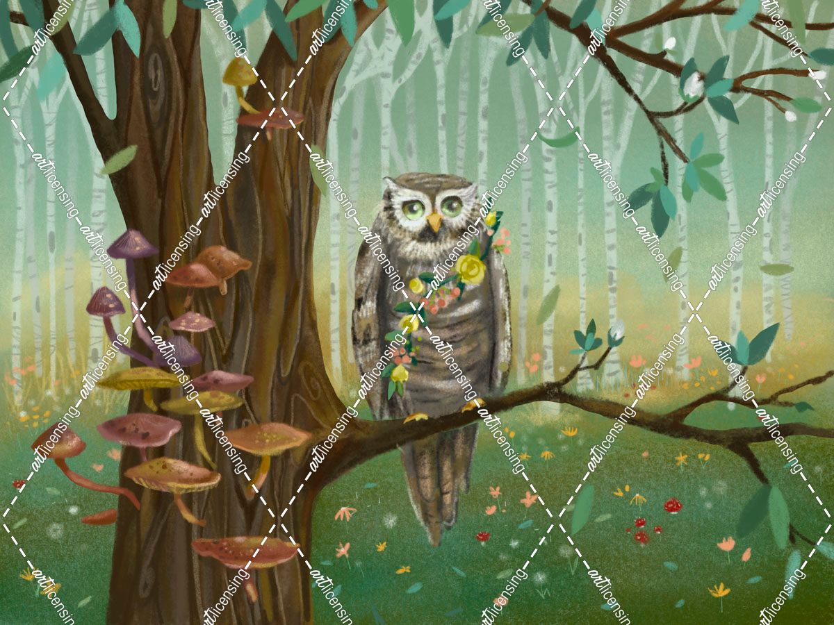 Forest Animals Owl