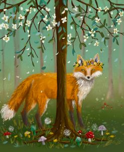 Forest Animals Fox