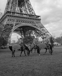 Paris Police Horses