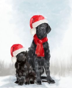 Christmas DOGS