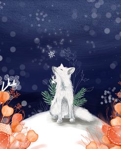 USA snow fox