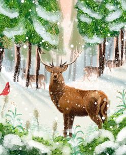 With Snow Deer in Forest USA
