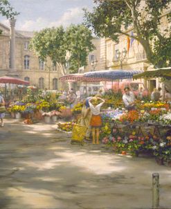 La Place des Fleures, Aix en Provence, France