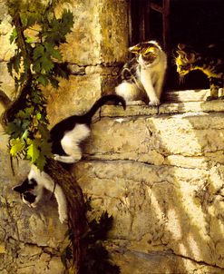 Three Kittens and a Grape Vine