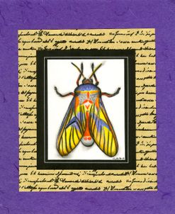 Bugs III