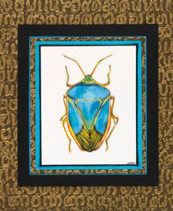 Turquoise Beetle
