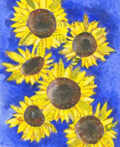 Sunflowers on Blues