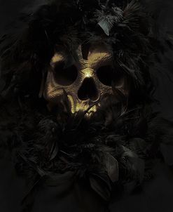 Skull And Boa