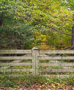 Gate And Country Path