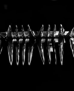 Forks 15