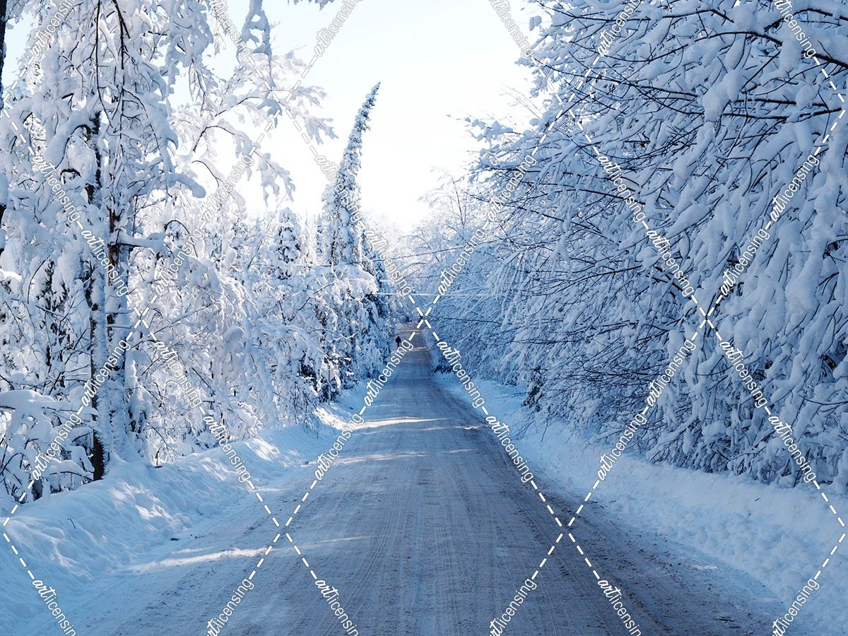 Chelsea Road In Winter 1