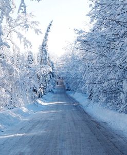 Chelsea Road In Winter 1