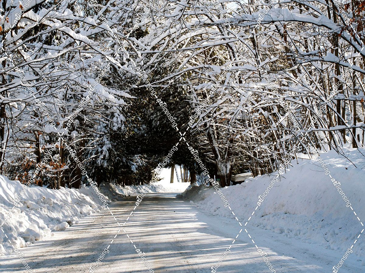 Chelsea Road In Winter