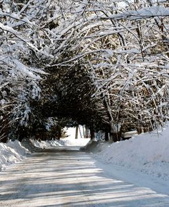 Chelsea Road In Winter