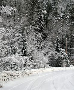 Gatineau In Snow 2