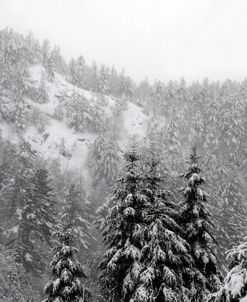 Gatineau In Snow