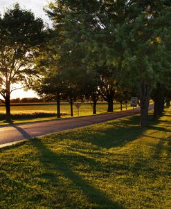 Sunset At Agriculture Canada