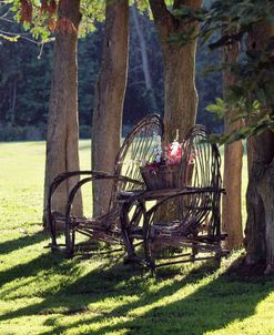 Old Chairs In Garden Homewood Museum 3