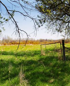 Ottawa Pasture