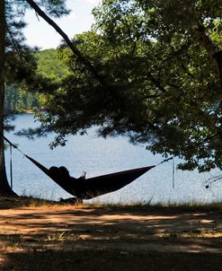 Relaxing In The Countryside