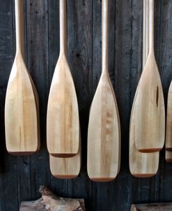 Canoe Paddles