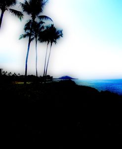 Maui Soft Focus