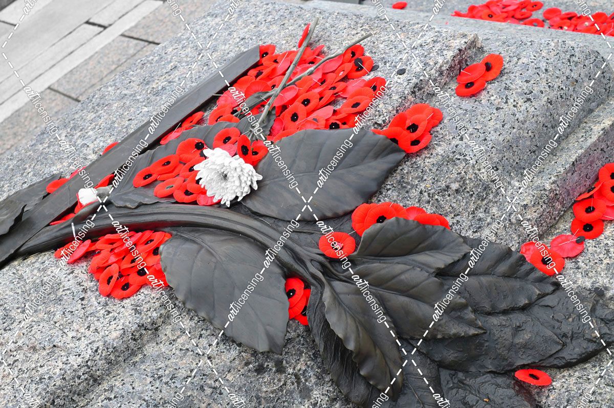 War Memorial Poppies