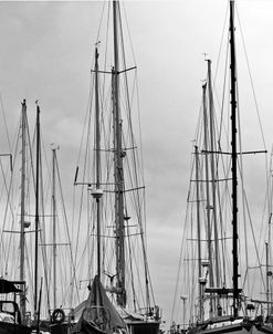 Marina Sailboat Masts