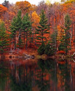 Meech Lake Reflections